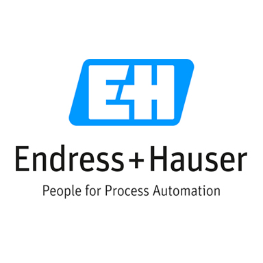 Logo de Endress + Hauser